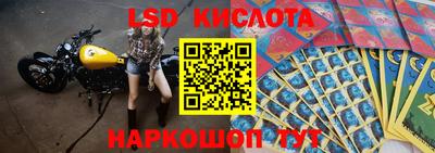 прущие грибы Конаково