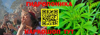 ГАЛЛЮЦИНОГЕННЫЕ ГРИБЫ Кингисепп