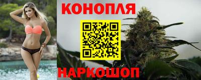 ГАЛЛЮЦИНОГЕННЫЕ ГРИБЫ Кингисепп