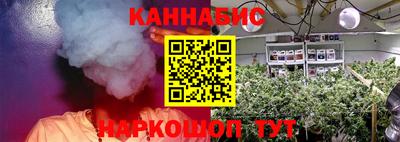 стаф Кинель
